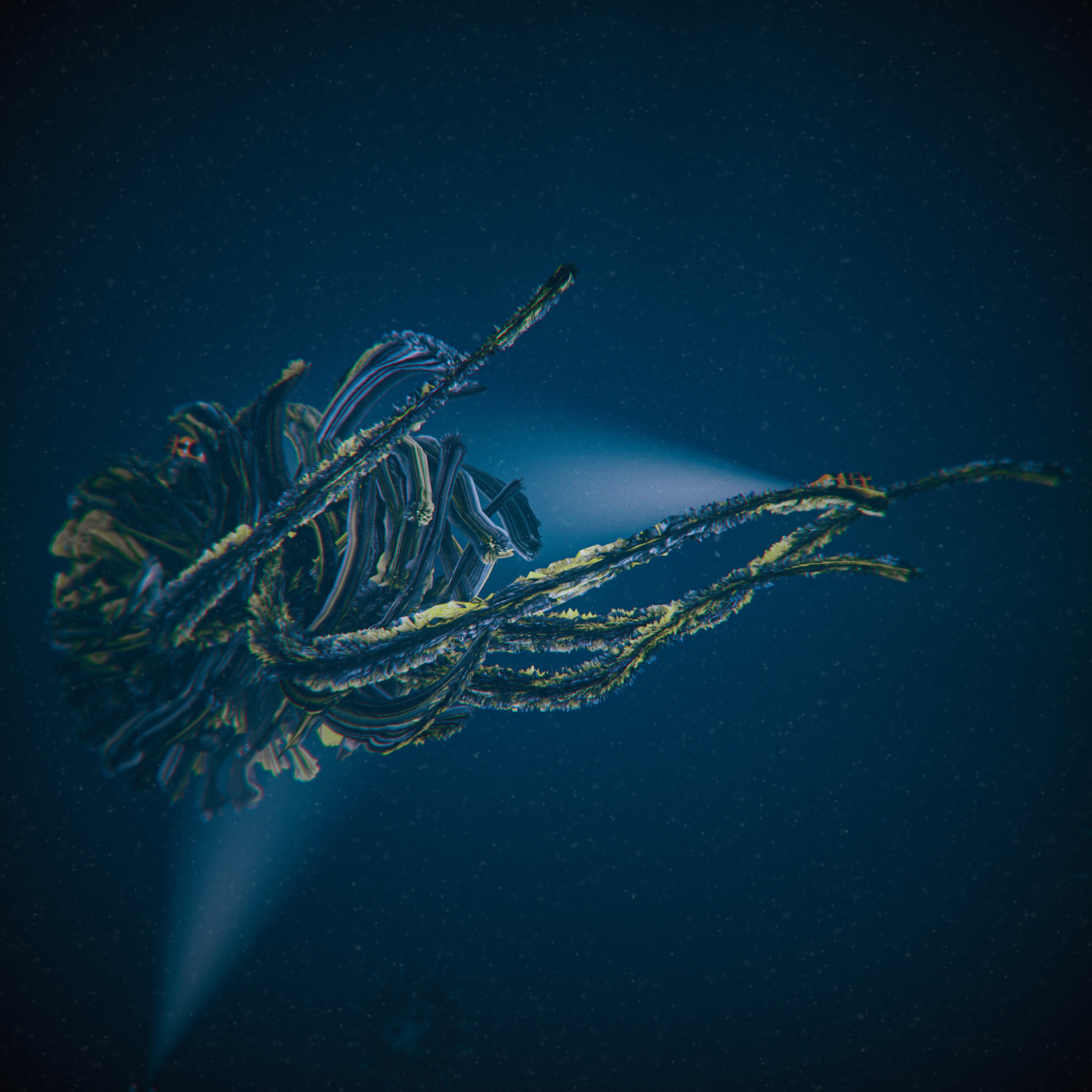 Abyssal Bloom